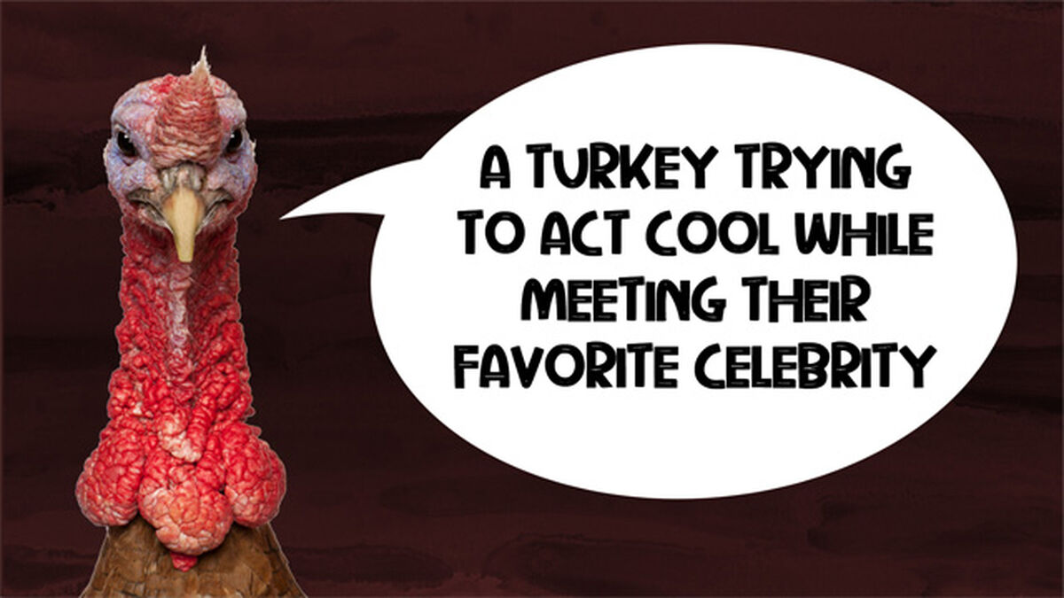 Talking Turkey image number null